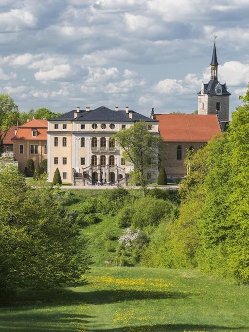 Sommerlicher Blick auf das gelbe Barockgebäude mit Freitreppe und die Wiesen des Landschaftsparkes von Schloss Ettersburg, das auch von Bäumen umgeben ist.