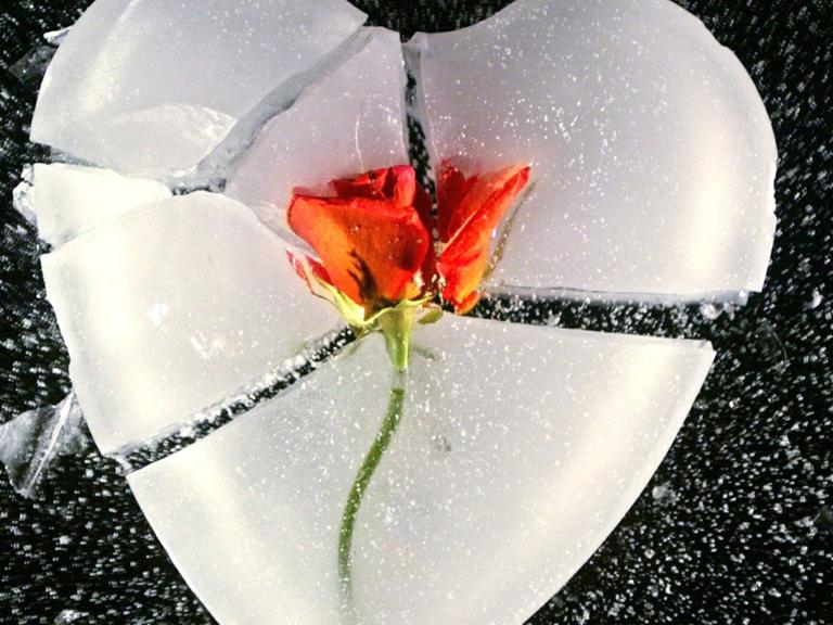 Ein gebrochenes Herz aus Eis mit einer roten Rose in der Mitte.