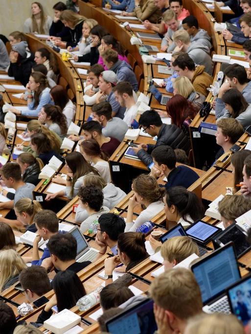 Studierende sitzen in einem Hörsaal.