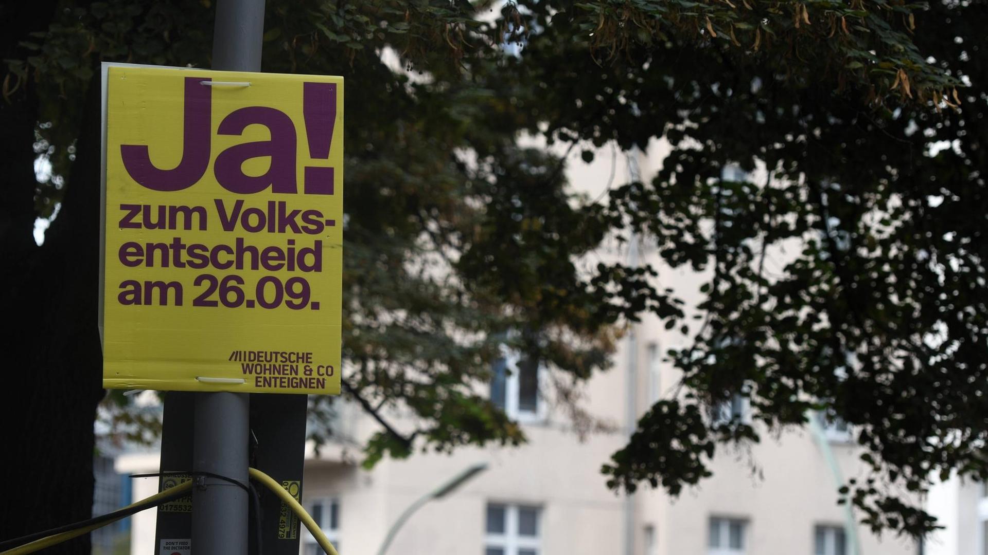 Auf einem Plakat in der Neuköllner Weserstraße wird darum geworben, für den Volksentscheid zu stimmen, der zusammen mit der Bundestagswahl und der Wahl zum Berliner Abgeordnetenhaus am 26.September ansteht.
