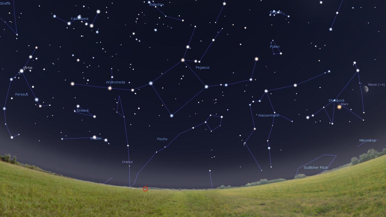 20181017b: Das Sternbild Pegasus steht gegen 20 Uhr am Osthimmel (Stellarium)