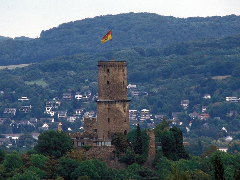 Blick auf die Ruine der Godesburg und auf Teile der Stadt