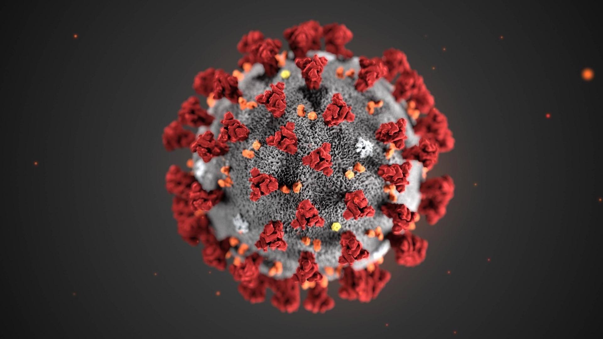 Illustration des Coronavirus nCoV im Jahr 2019.