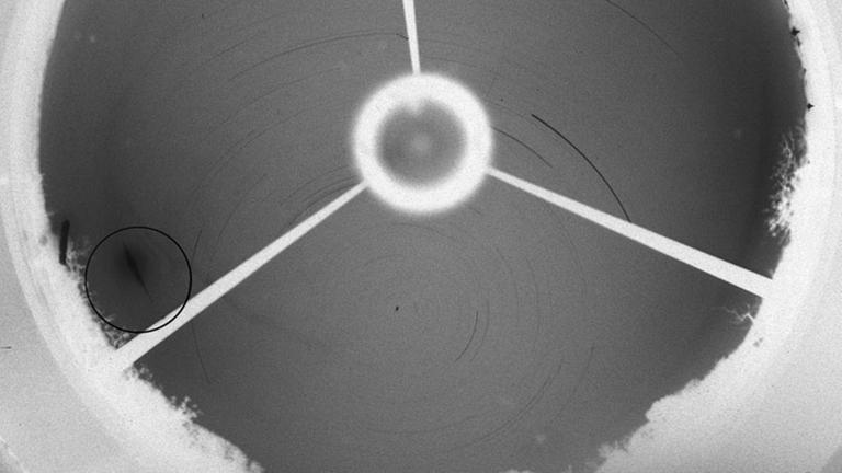 Invertierte Aufnahme der Feuerkugel von der Station Liebenhof – die besonders helle Sternschnuppe ist eingekreist