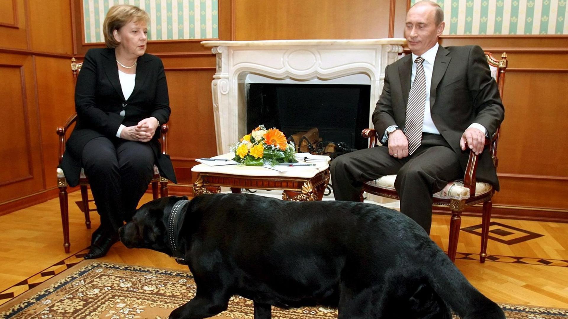 Angela Merkel 2007 im Gespräch mit Wladimir Putin in Sotschi. Putins großer schwarzer Hund durchquert den Raum.