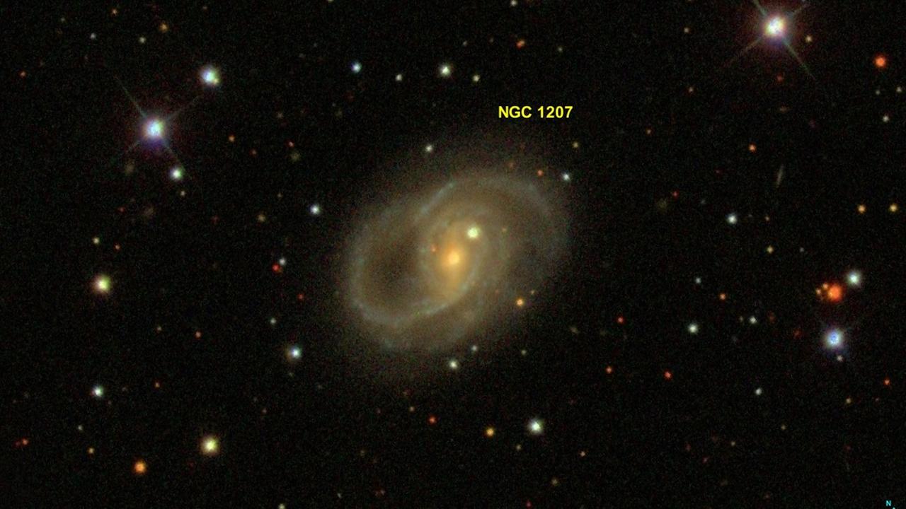 Die Galaxie NGC1207 mit ihren weit ausladenden Spiralarmen