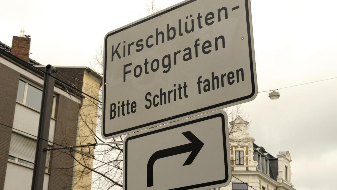 Auf dem von der Altstadt-Initiative-Bonn gespendete Schild steht: "Kirschblüten-Fotografen. Bitte Schritt fahren". Nach zwei Tagen wurde das Schild geklaut.