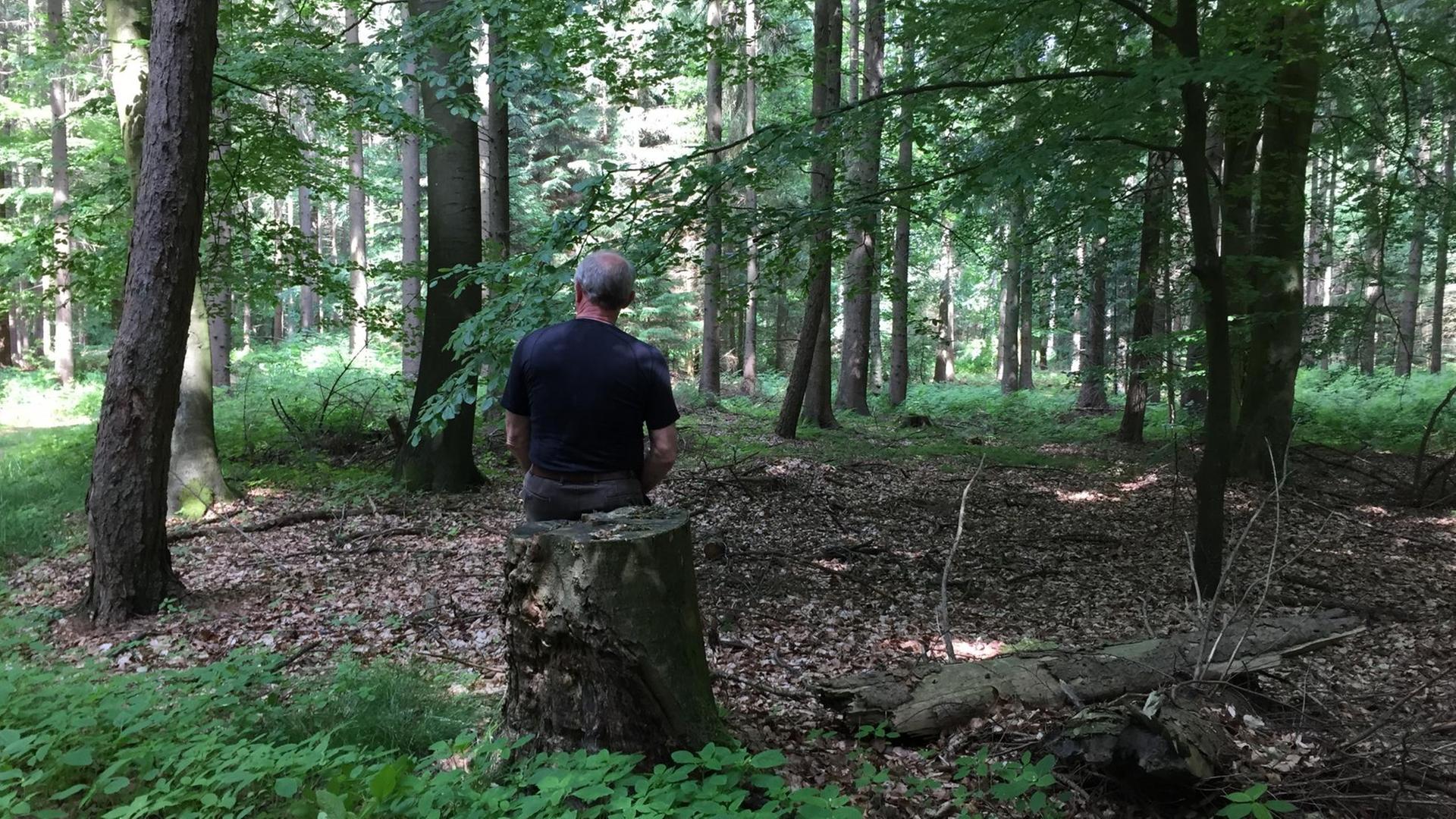 Johannes Kulms hat einen Hörer getroffen, der allerdings anonym blieben will. Ein Mann sitzt mit dem Rücken zum Betrachter in einem Waldstück auf einem Stamm.