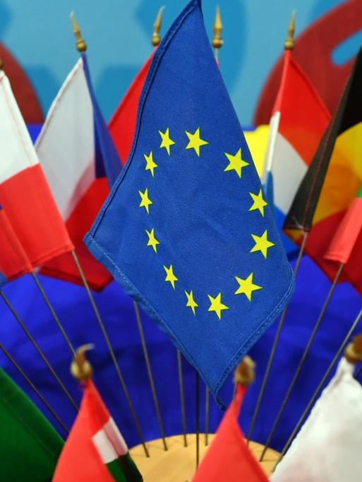 Die Flaggen der Mitgliedsstaaten der EU sind zusammen mit der EU-Flagge auf einem Tisch im Europäischen Informationszentrum aufgestellt, fotografiert am 08.02.2017 in Erfurt (Thüringen).