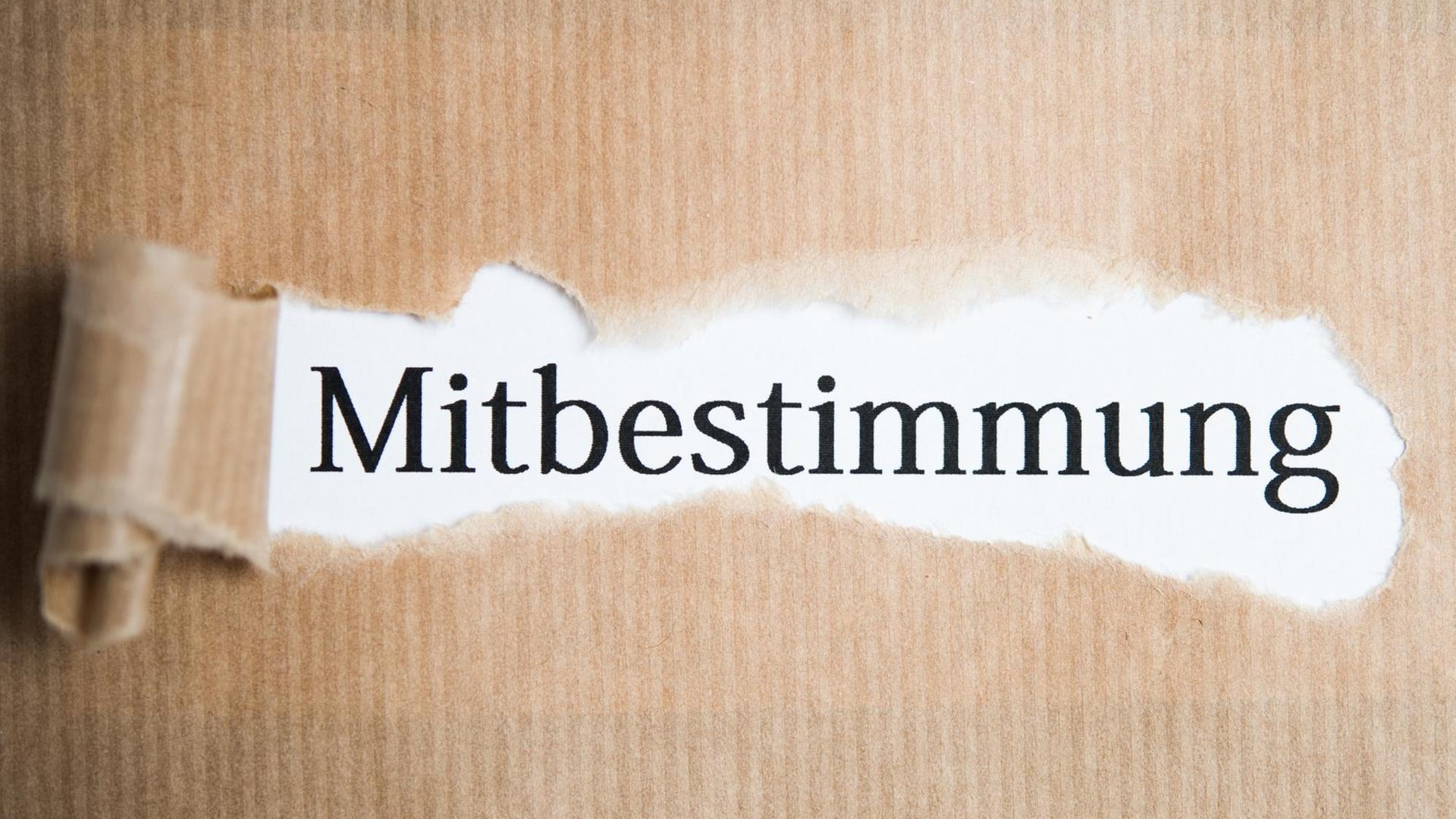Symbolfoto zum Thema Mitbestimmung, aufgenommen am 05.01.2017 in Oberursel | Verwendung weltweit