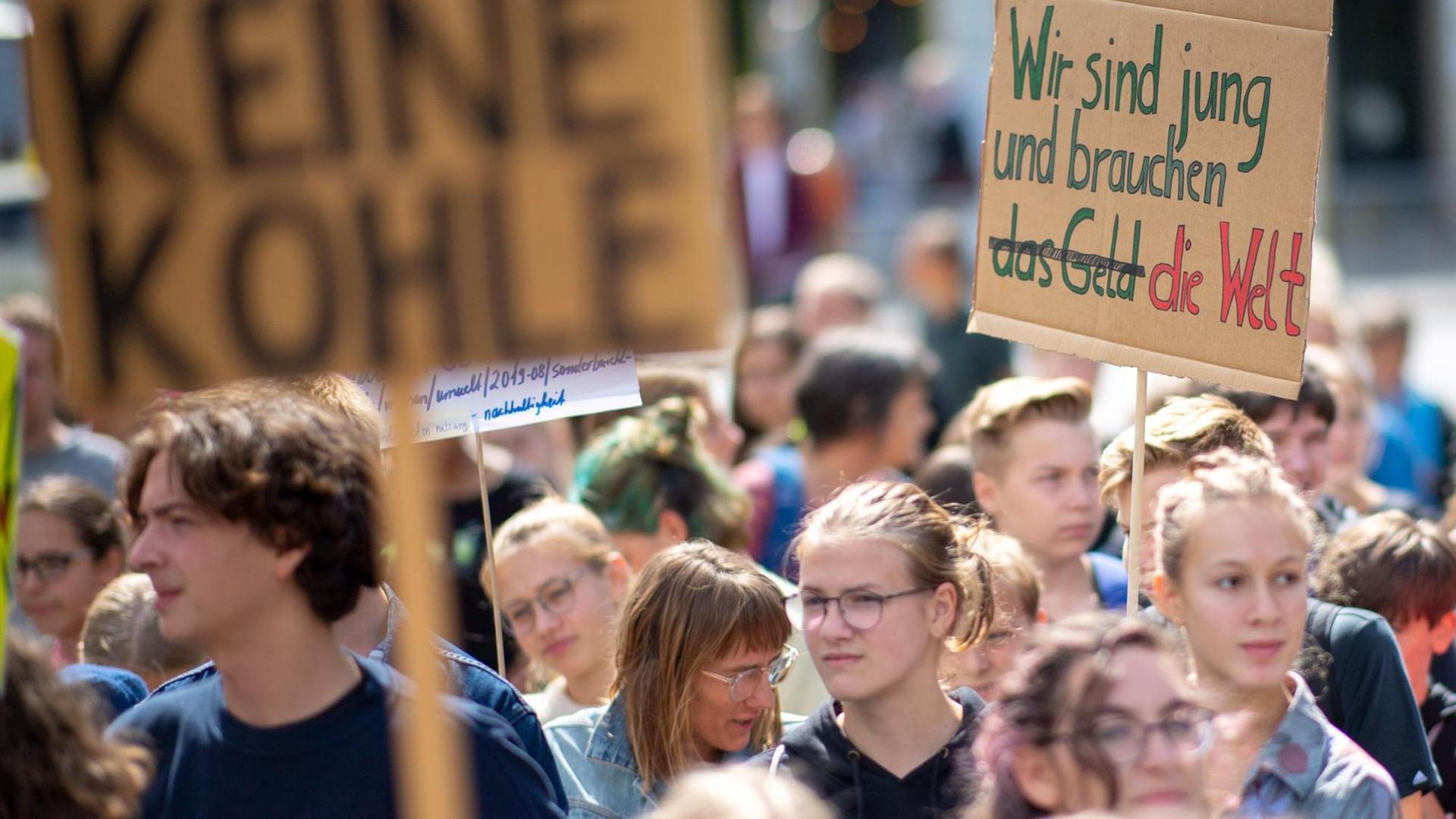 Teilnehmer der "Fridays for Future"-Demonstration stehen mit ihren Transparenten im Invalidenpark in Berlin (16.8.2019).