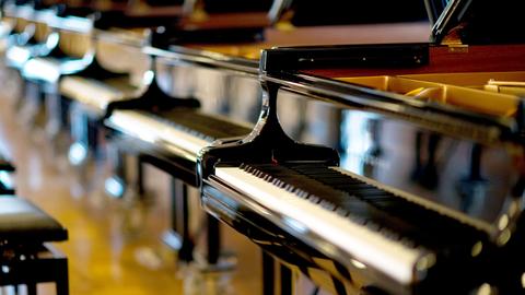 Schwarze, glänzende Flügel der Firma Steinway stehen nebeneinander aufgereiht in einer Halle auf Holzfußboden.