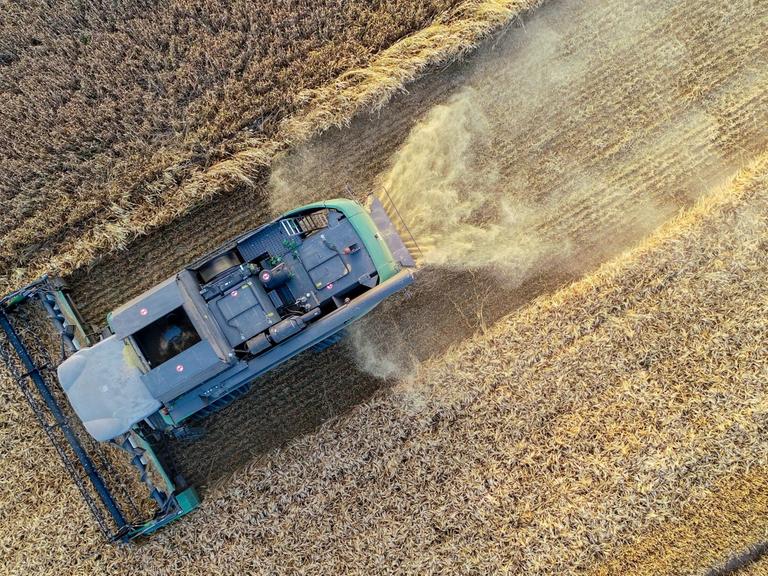 Brandenburg, Sieversdorf: Ein Landwirt erntet mit einem Mähdrescher Gerste (Luftaufnahme mit einer Drohne).