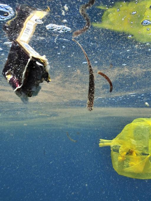 Aufnahme unter Wasser. Im Wasser schwimmt Plastikmüll umher.