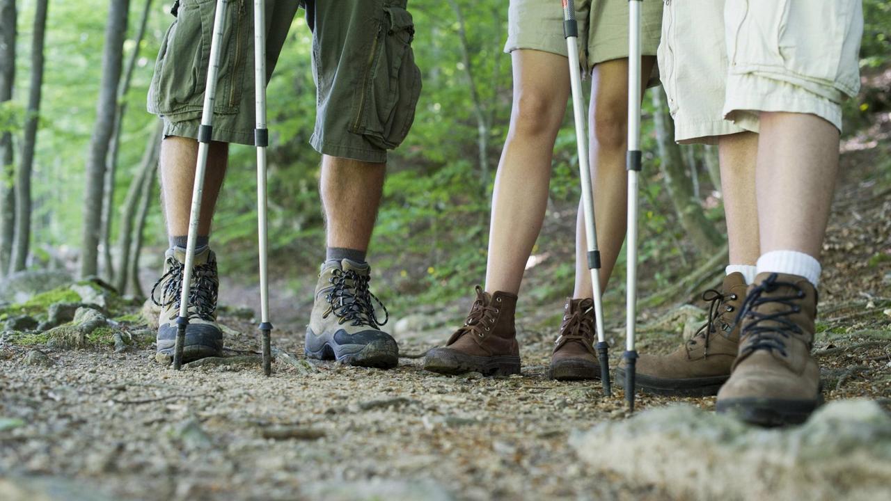 Die Beine von drei Menschen mit Wanderschuhen im Wald