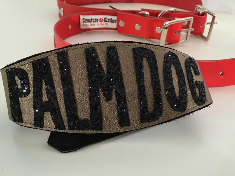 Farbfoto eines Hundehalsbands, auf dem Palm Dog steht. Es ist eine Auszeichnung für den besten Vierbeiner in den Filmen beim Filmfestival Cannes 2016