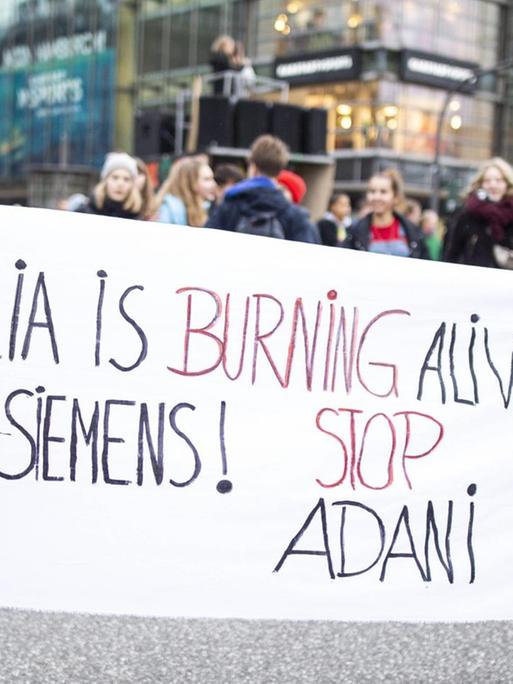 Am 10.01.2019 demonstrierten rund 350 Schülerinnen und Schüler von Fridays For Future in Hamburg gegen die Pläne von Siemens.