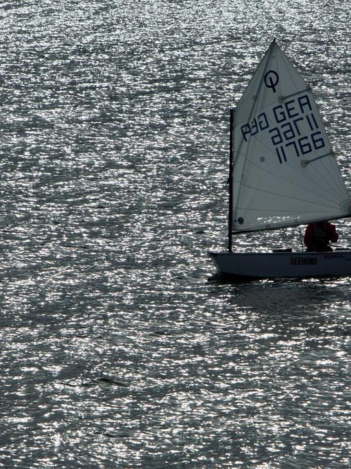 Junge Segler trainieren am 04.10.2013 auf dem Schweriner See bei Schwerin (Mecklenburg-Vorpommern) mit ihren Booten der Optimisten-Klasse. Die Boote sind nur 2,40 Meter lang und 1,20 Meter breit und die klassische Bootsklasse für Kinder und Jugendliche.