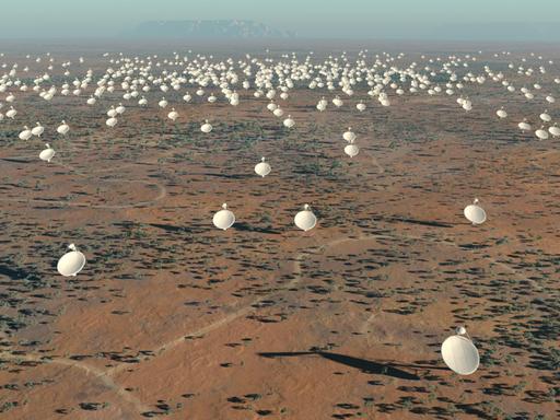 Das Radioteleskop SKA (Square Kilometre Array) wird in Südafrika und in Australien gebaut – die Datenanalyse könnte in der Lausitz erfolgen.