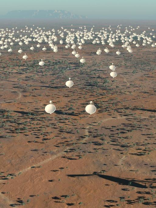 Das Radioteleskop SKA (Square Kilometre Array) wird in Südafrika und in Australien gebaut – die Datenanalyse könnte in der Lausitz erfolgen.