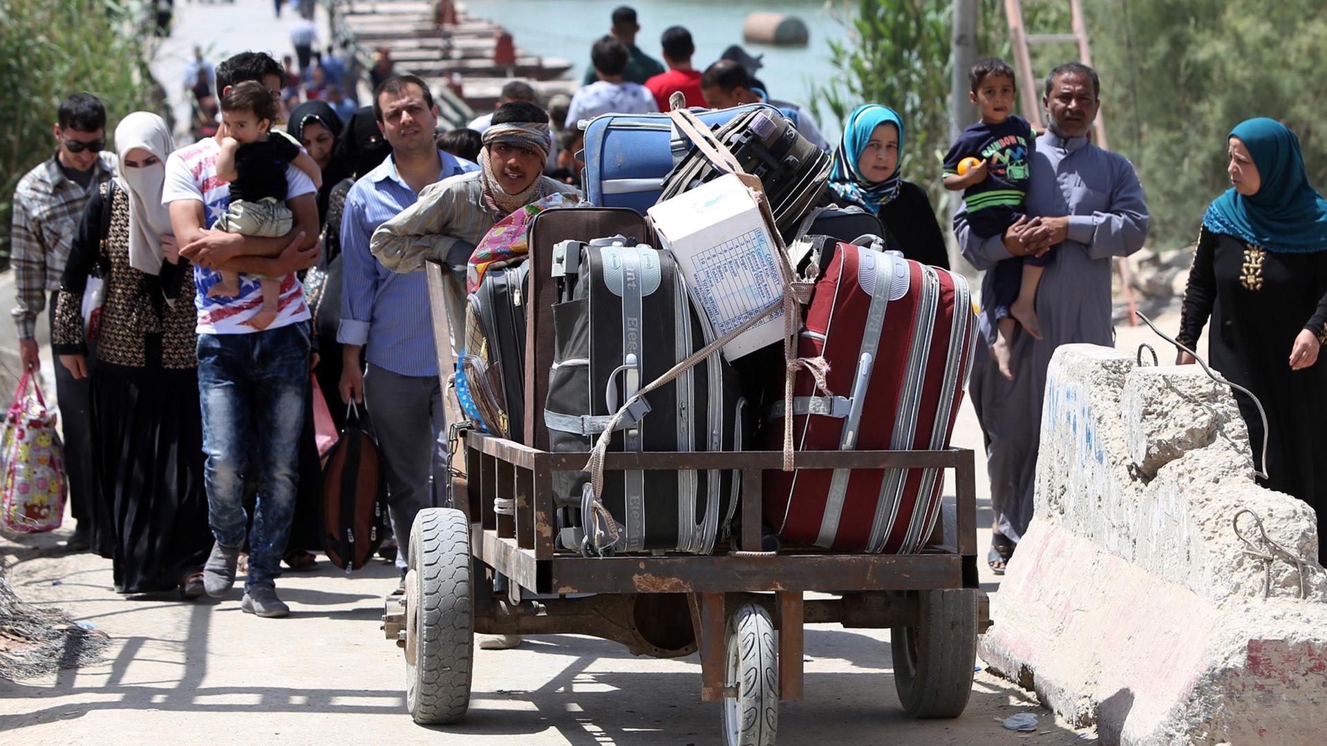 Iraker aus Ramadi auf der Flucht nach Bagdad.