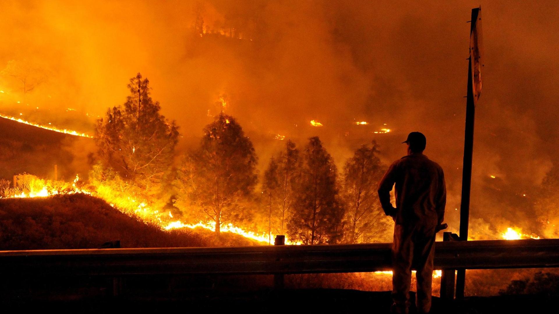 Ein Feuerwehrmann steht vor einem Waldbrand. Rauch zieht durch die rotschimmernde Luft.