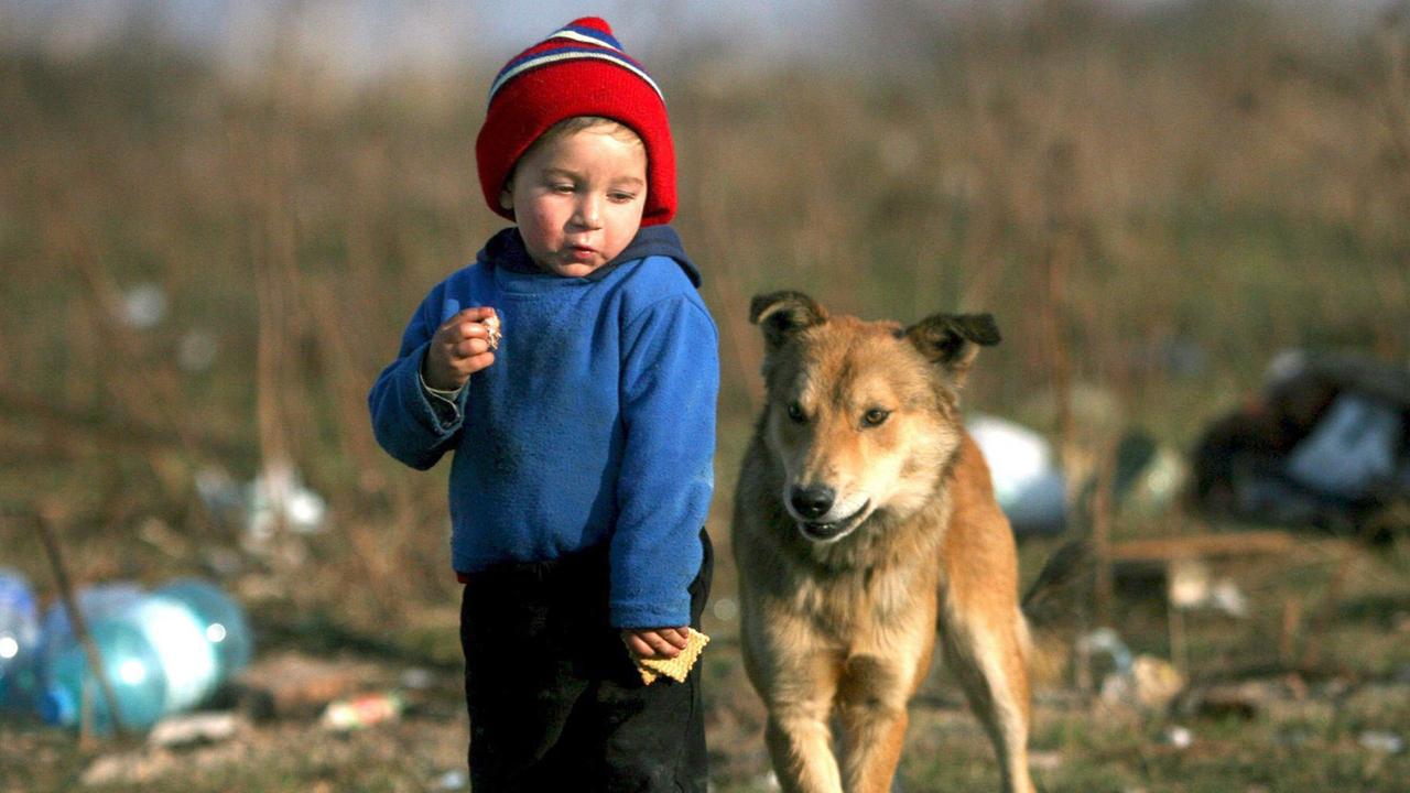 Ein rumänisches Romakind, drei Jahre alt, zwischen Müll, dass neben einem Hund steht und versucht, seine Kekse vor ihm zu verstecken.