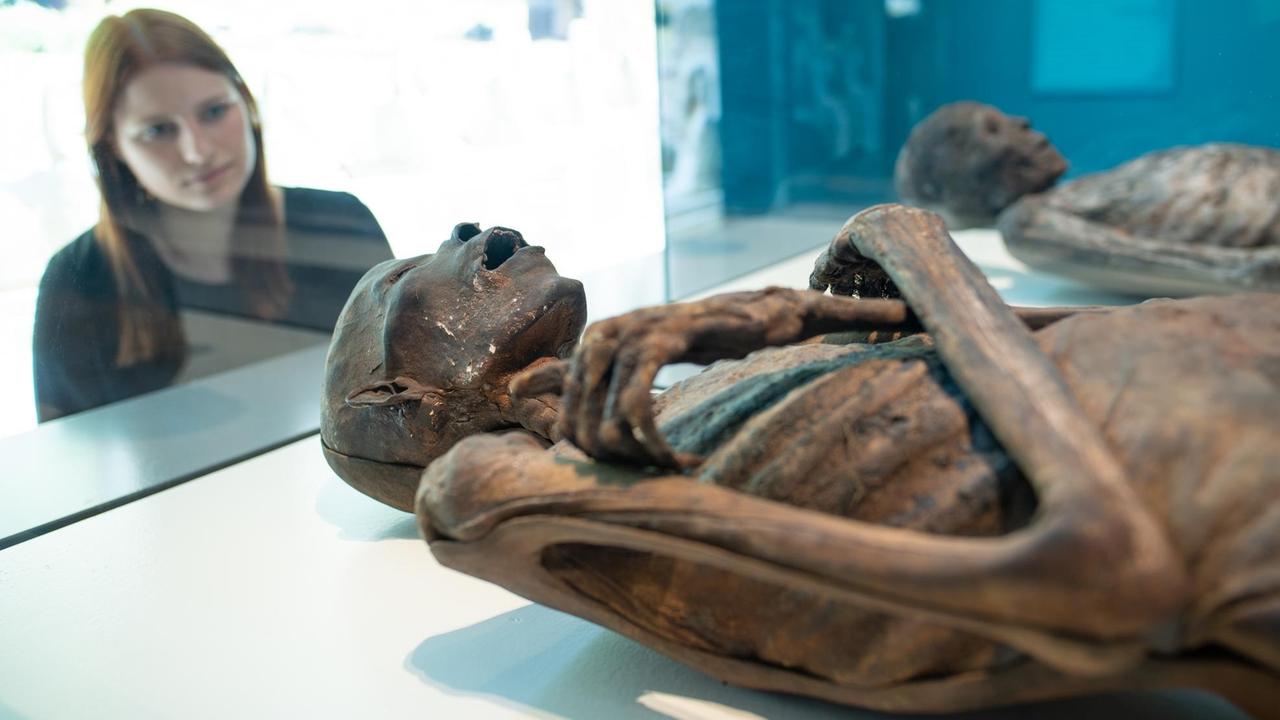 Eine Mumie aus Ägypten ist in der Sonderausstellung "Mumien? Geheimnisse des Lebens" in den Mannheimer Reiss-Engelhorn-Museen zu sehen.