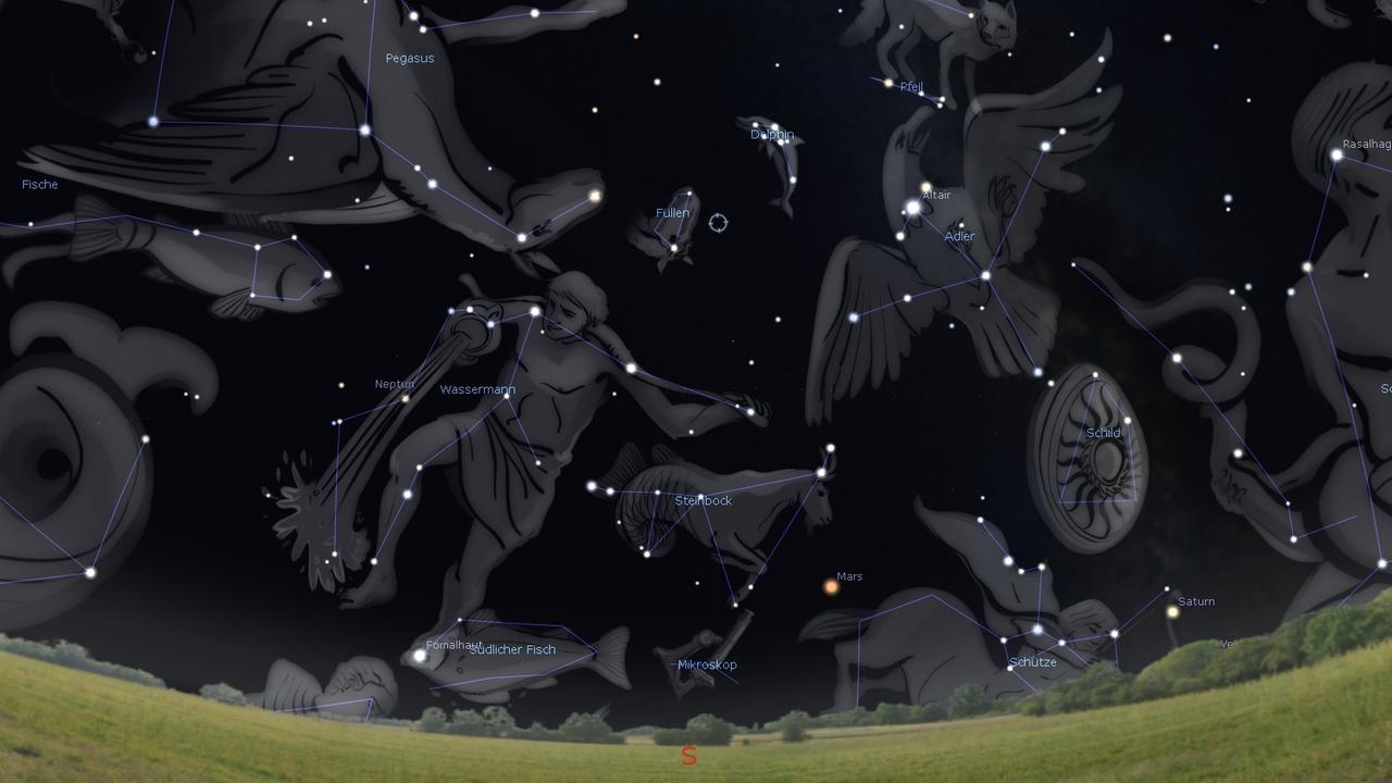 Das Sternbild Füllen steht gegen 23 Uhr genau im Süden, zwischen Pegasus, Wassermann, Delfin und Adler