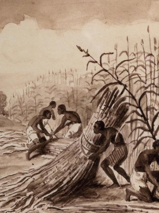Sklaven, die bei der Zuckerrohrernte arbeiten, chinesische Tintenwäsche, c. 1800, im Musee d'Aquitaine, Bordeaux, Frankreich.