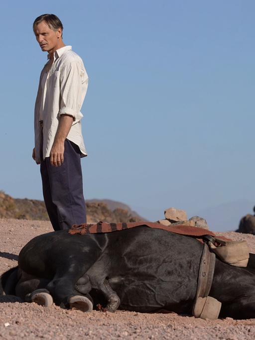 Viggo Mortensen spielt die Hauptfigur in dem Film "Den Menschen so fern" (FRA 2014)