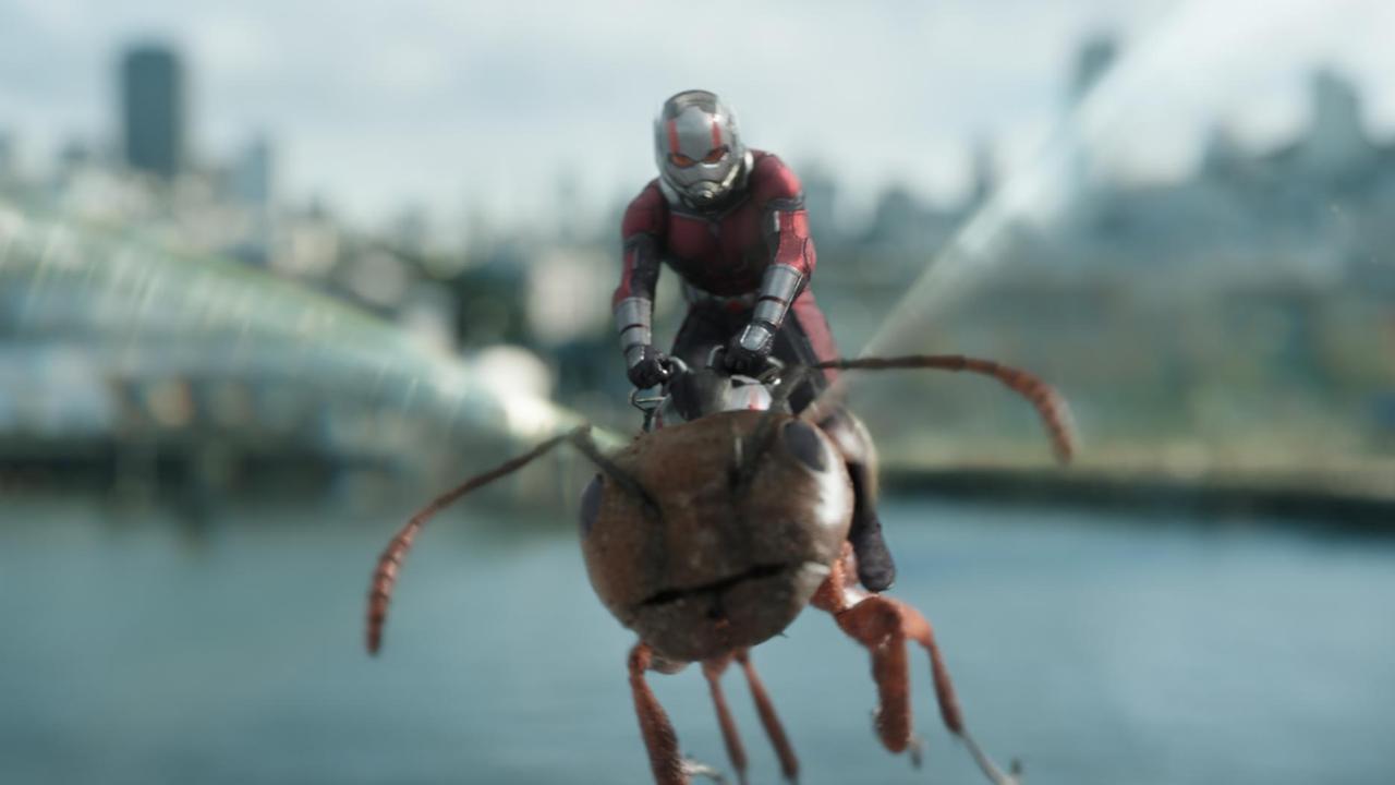 Bild aus dem Marvel-Film "Ant-Man and The Wasp": Paul Rudd als Scott Lang.