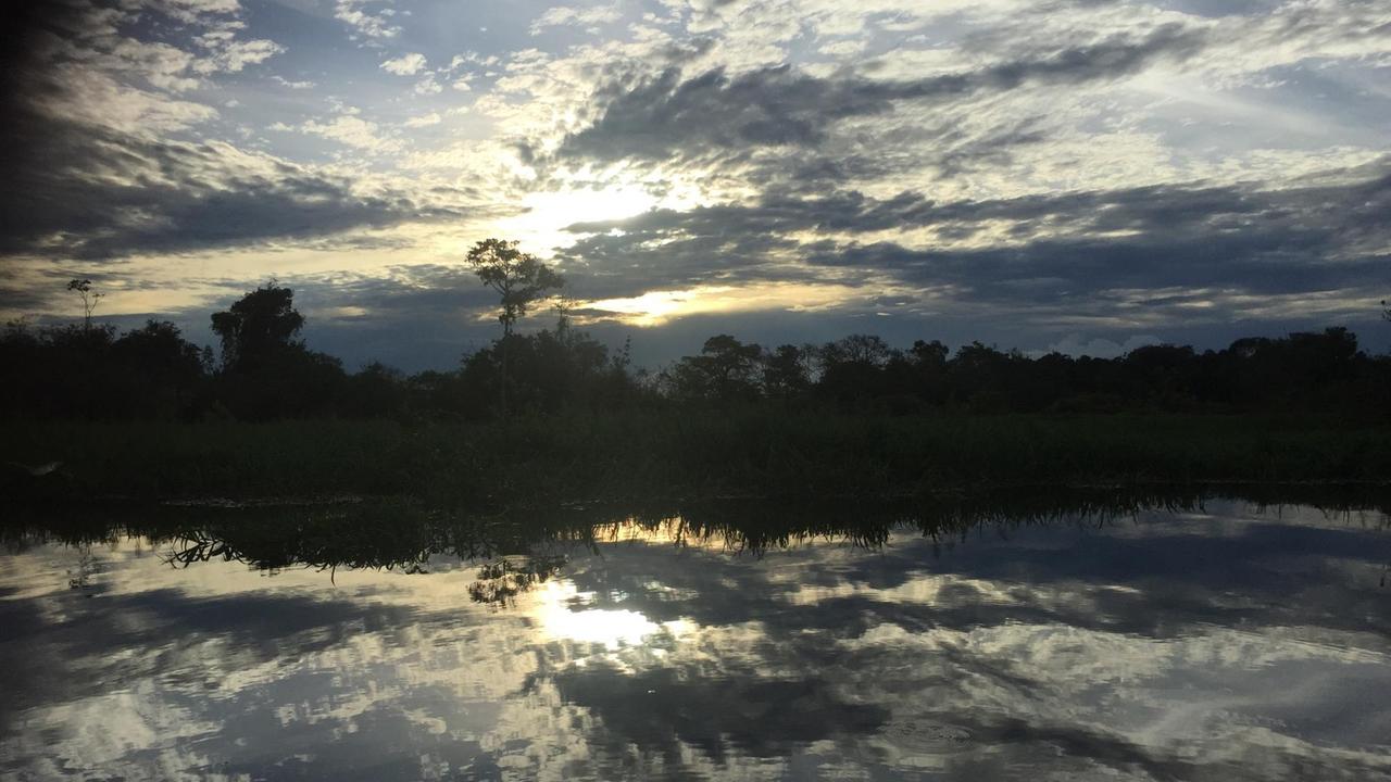 Abendlicht spiegelt sich im Wasser  eines Nebenarms des Amazonas.