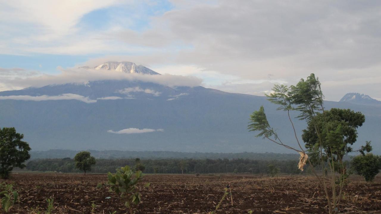Blick auf den Kilimandscharo in Tansania.