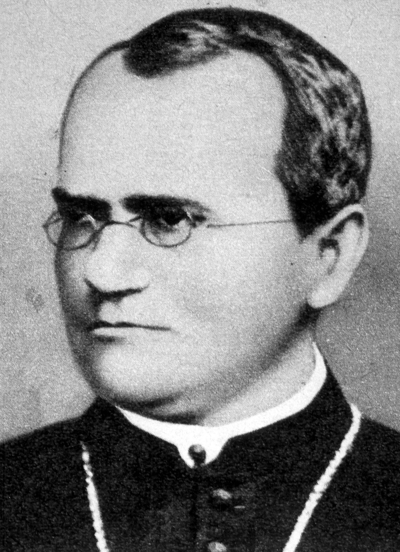 Porträt des Wissenschaftlers und Priesters Gregor Johann Mendel 