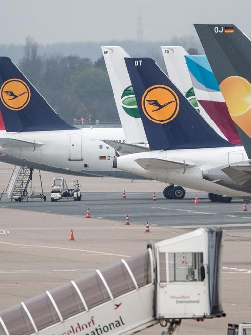 Flugzeuge der Lufthansa am 13.11.2015 auf dem Flughafen in Düsseldorf (Nordrhein-Westfalen) zwischen anderen Maschinen.