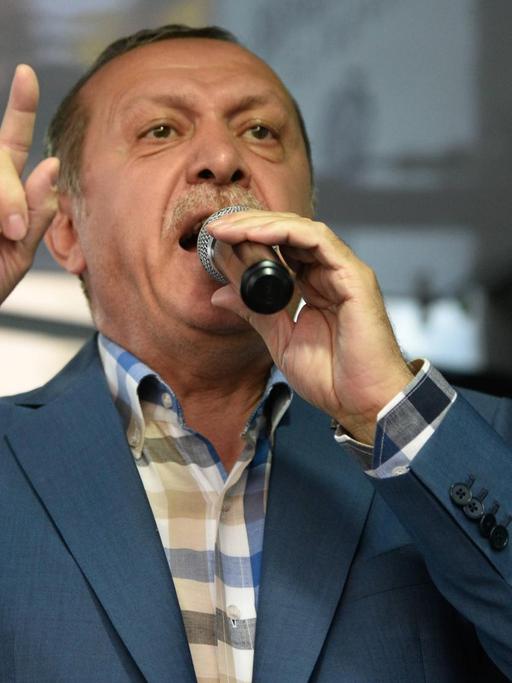 Der türkische Präsident Recep Tayyip Erdogan spricht in Ankara zu Anhängern.