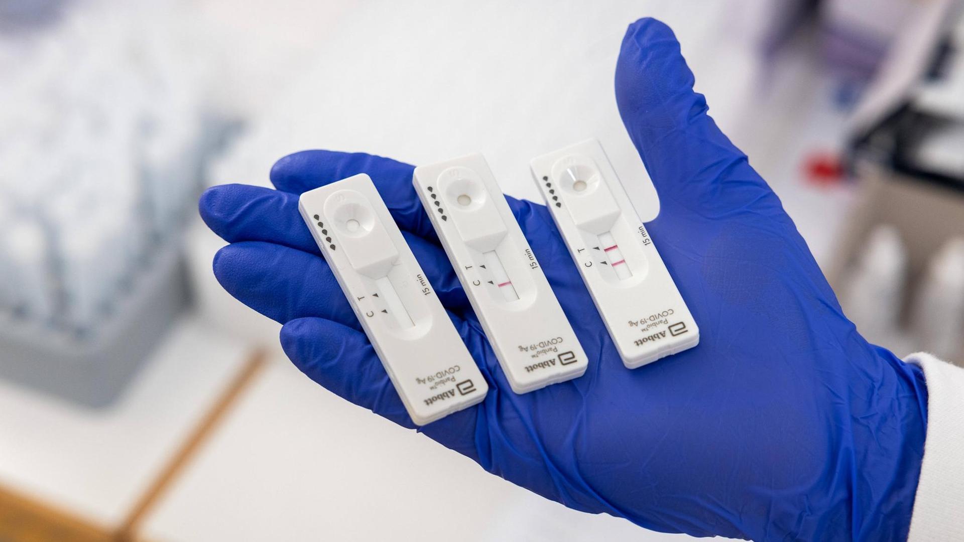Eine Hand mit Handschuhen zeigt drei Corona-Schnelltests, einen unbenutzen, einen negativen und einen positiven. Das Bild entstand während des Modellprojekts in Tübingen im Frühjahr 2021. Eine Hand mit Handschuhen zeigt drei Corona-Schnelltests, einen unbenutzen, einen negativen und einen positiven. Das Bild entstand während des Modellprojekts in Tübingen im Frühjahr 2021.