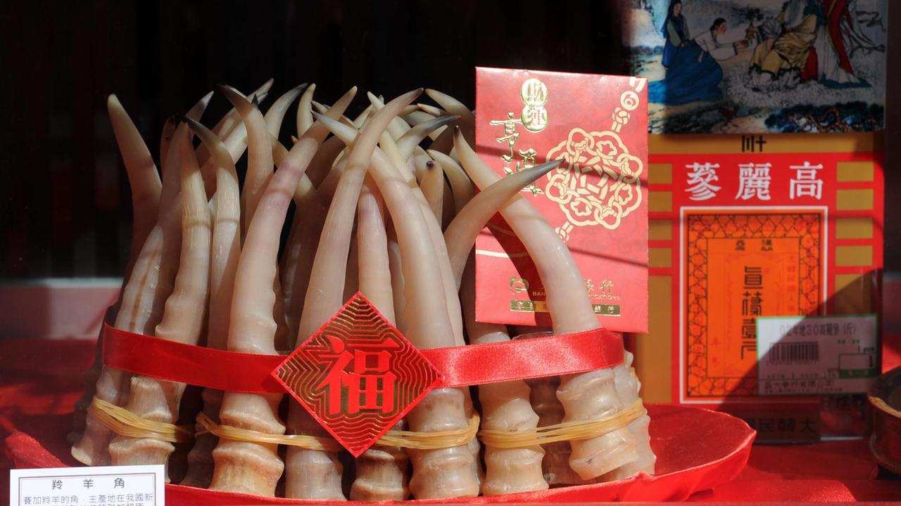 Ein Geschäft für traditionelle chinesische Medizin in Hongkong wirbt mit Antilopenhörnern im Schaufenster, fotografiert am 08.01.2012.