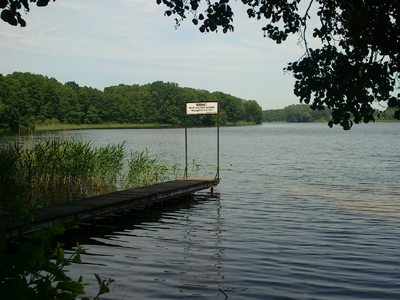 Ein Steg an einem See in der Uckermark.