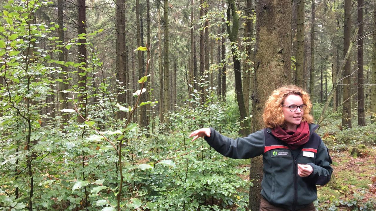 Soonwald-Revierförsterin Anne-Sophie Knop steht im Wald und zeigt etwas.