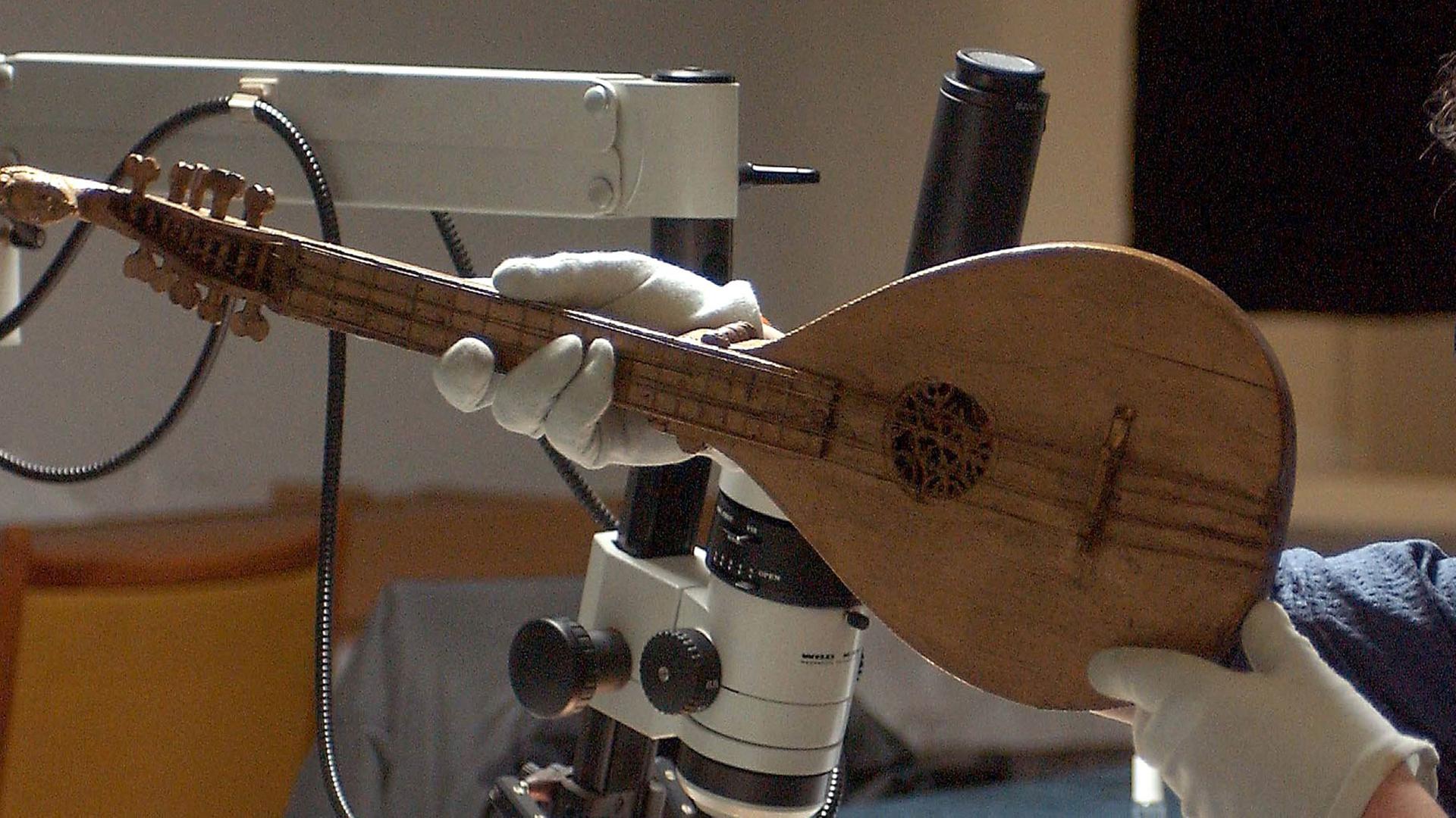 Ein Mitarbeiter des Musikinstrumentenmuseums der Universität Leipzig untersucht am 06.03.2003 eine Cister aus der Renaissancezeit. Das mehr als 400 Jahre alte Instrument ist Teil eines Fundes von insgesamt 30 Instrumenten im Freiberger Dom.