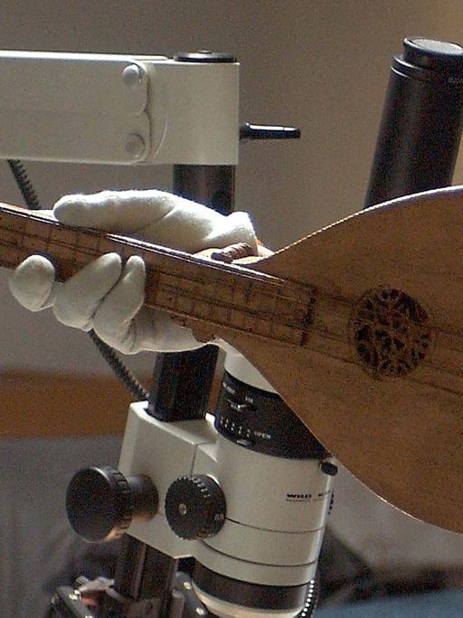 Ein Mitarbeiter des Musikinstrumentenmuseums der Universität Leipzig untersucht am 06.03.2003 eine Cister aus der Renaissancezeit. Das mehr als 400 Jahre alte Instrument ist Teil eines Fundes von insgesamt 30 Instrumenten im Freiberger Dom.