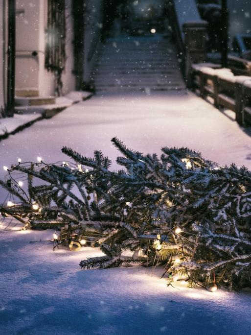Ein umgekippter Tannenbaum mit Weihnachtslichtern im Schnee vor einem Haus.