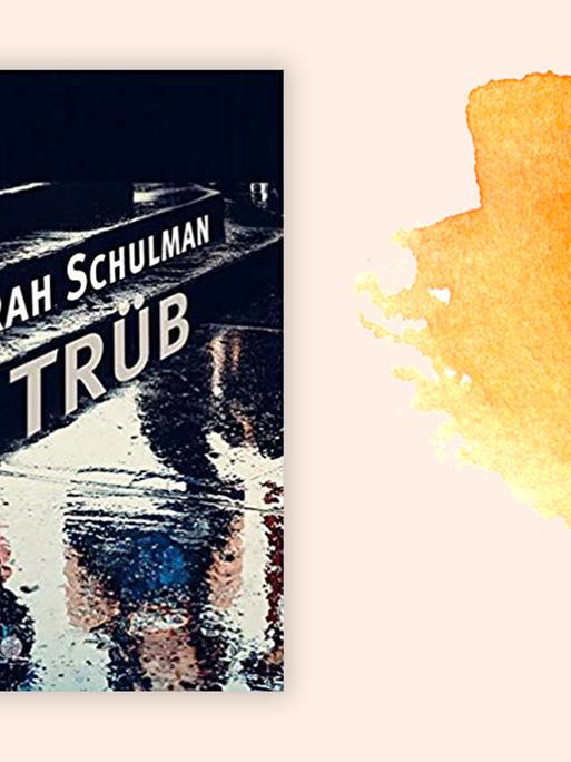 Buchcover zu Sarah Schulman: "Trüb"