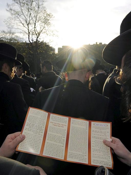 Orthodoxe Juden haben sich in Antwerpen unter freiem Himmel zum Sonnengebet versammelt und schauen in Richtung Sonne.