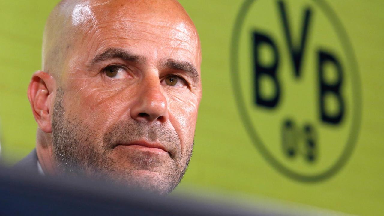 Der neue Trainer sitzt vor einer Wand mit dem BVB-Logo. Der neue Trainer sitzt vor einer Wand mit dem BVB-Logo.