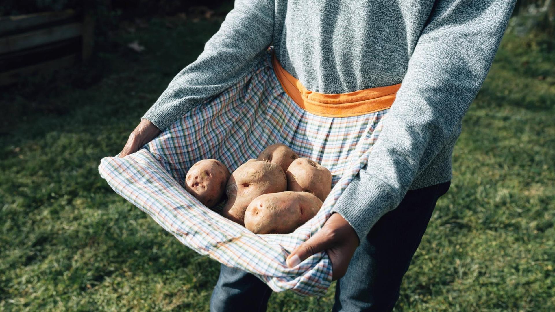 Eine Frau trägt frische Kartoffeln in ihrer Schürze.