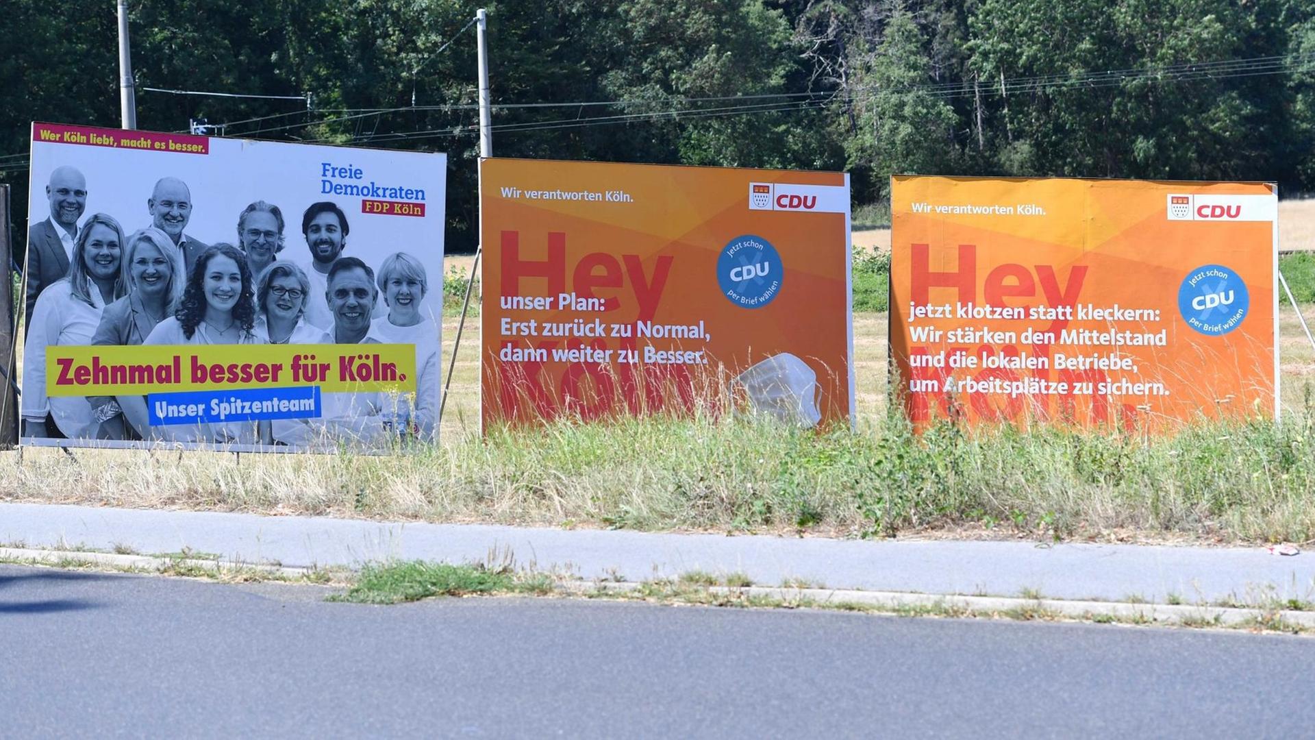 Auf dem Foto sind Wahl-Plakate von der FDP und von der CDU zu sehen.