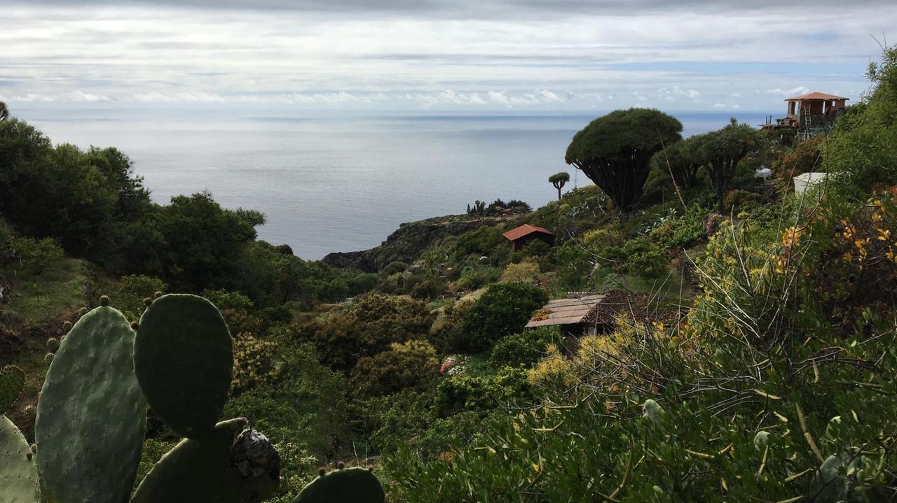 Tal auf La Palma 